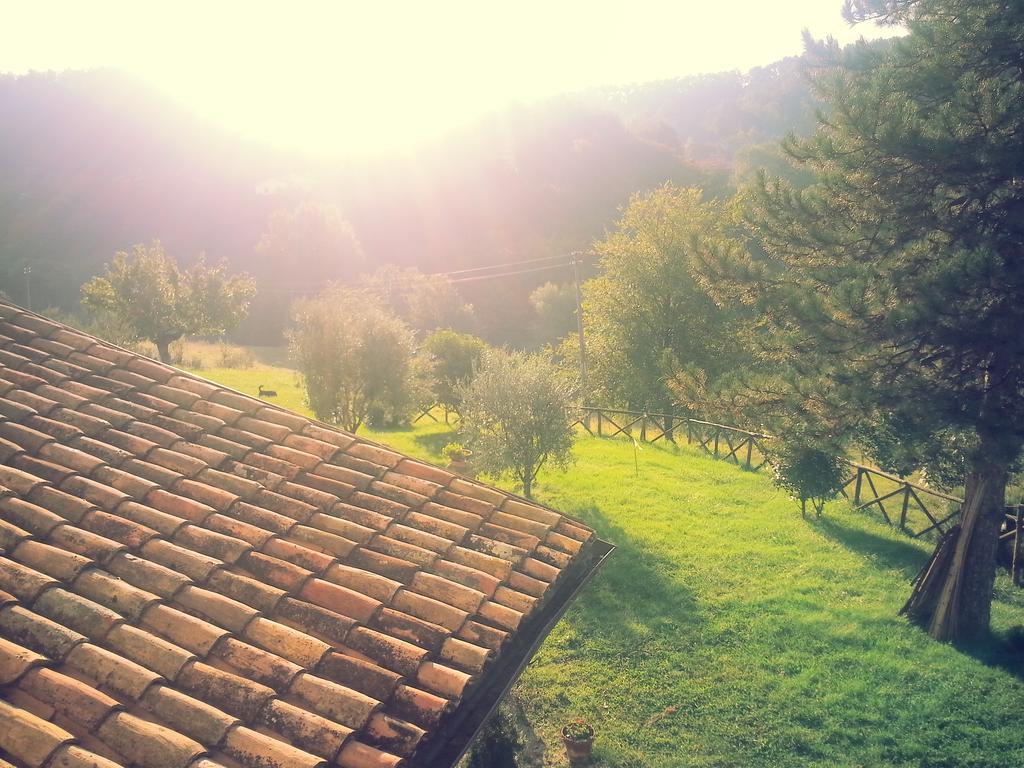 Agriturismo Santa Giusta Poggio San Lorenzo Room photo